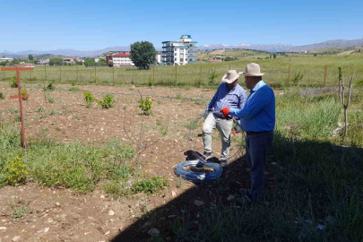Diyarbakır Kulp ilçesinde, örtü altı üzüm yetiştiriliyor